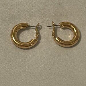 Elegant Gold Hoop Earrings